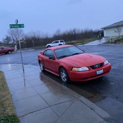 2004 Red Mustang 