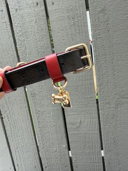 COACH DOG COLLAR
