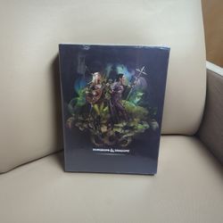 Dungeons& Dragons Expansion Set