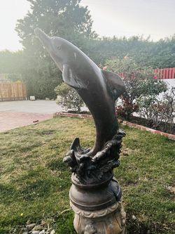 Dolphin