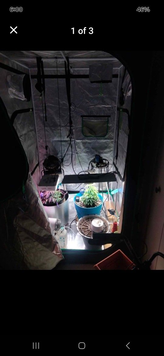Grow Tent