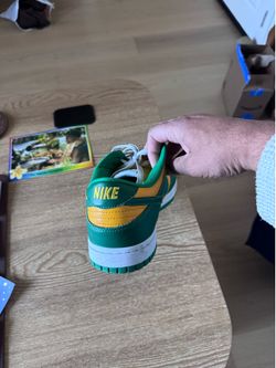 Nike Brazil dunks size 11