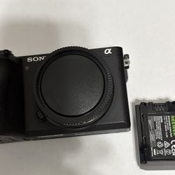 Sony A6600