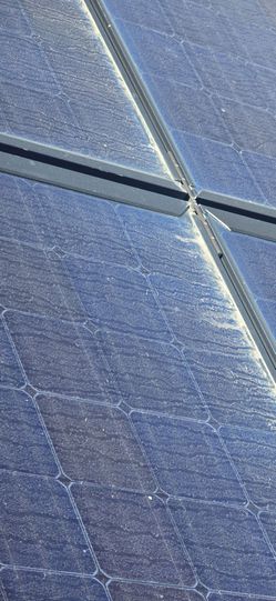 Solarpanelcleaner. Birdproofing