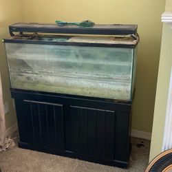 55 Gallon Fish Tank