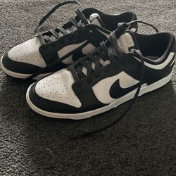 Nike Low Dunks Size 8M