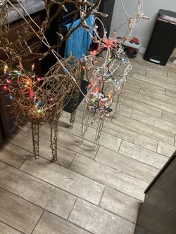 Xmas Reindeers