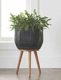 🪴🖤 Black Round Resin Planter & Stand Set with Wood Legs – Brand New in Box! 🖤🪴