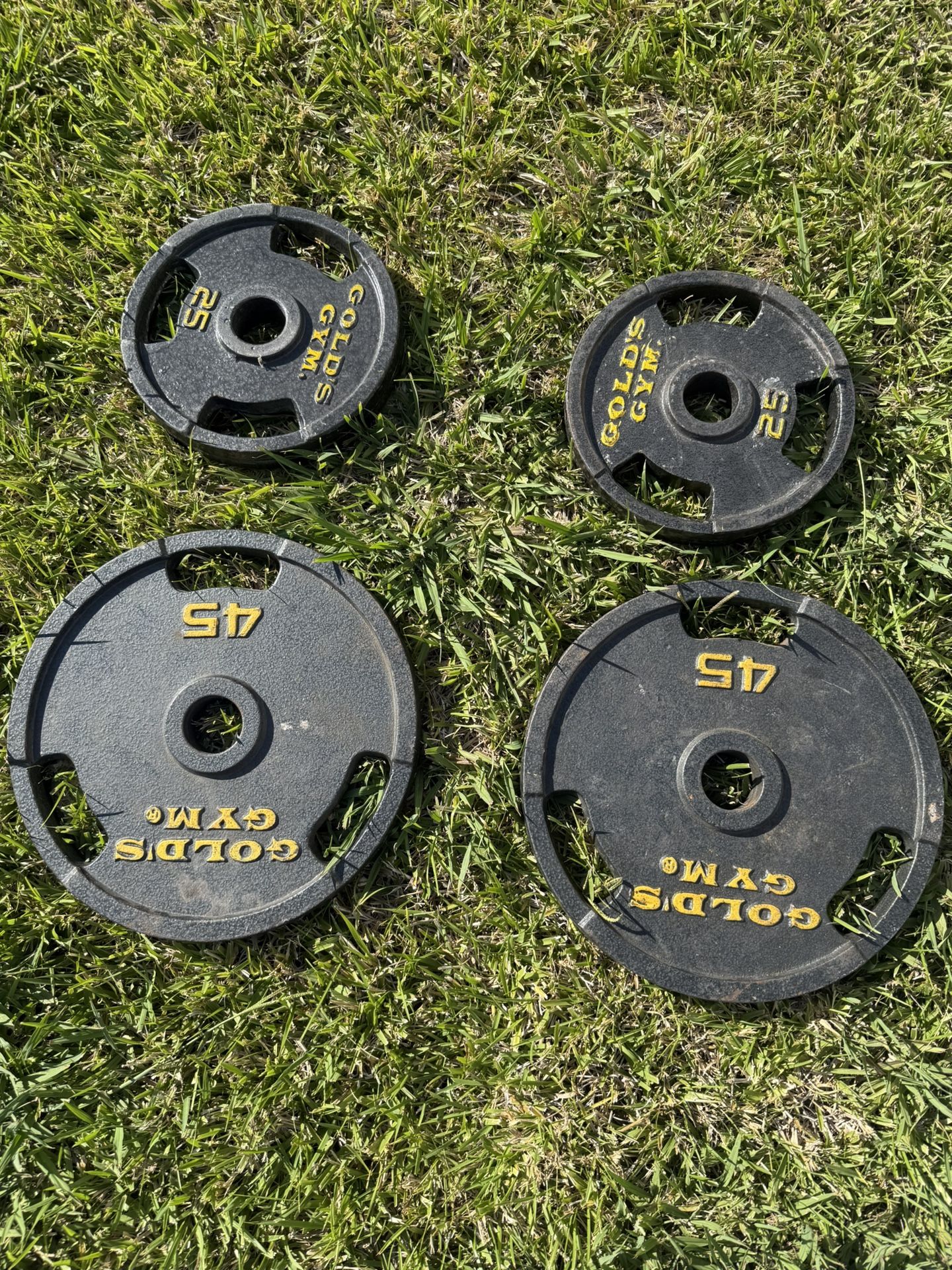 Golds Gym Olympic Weights