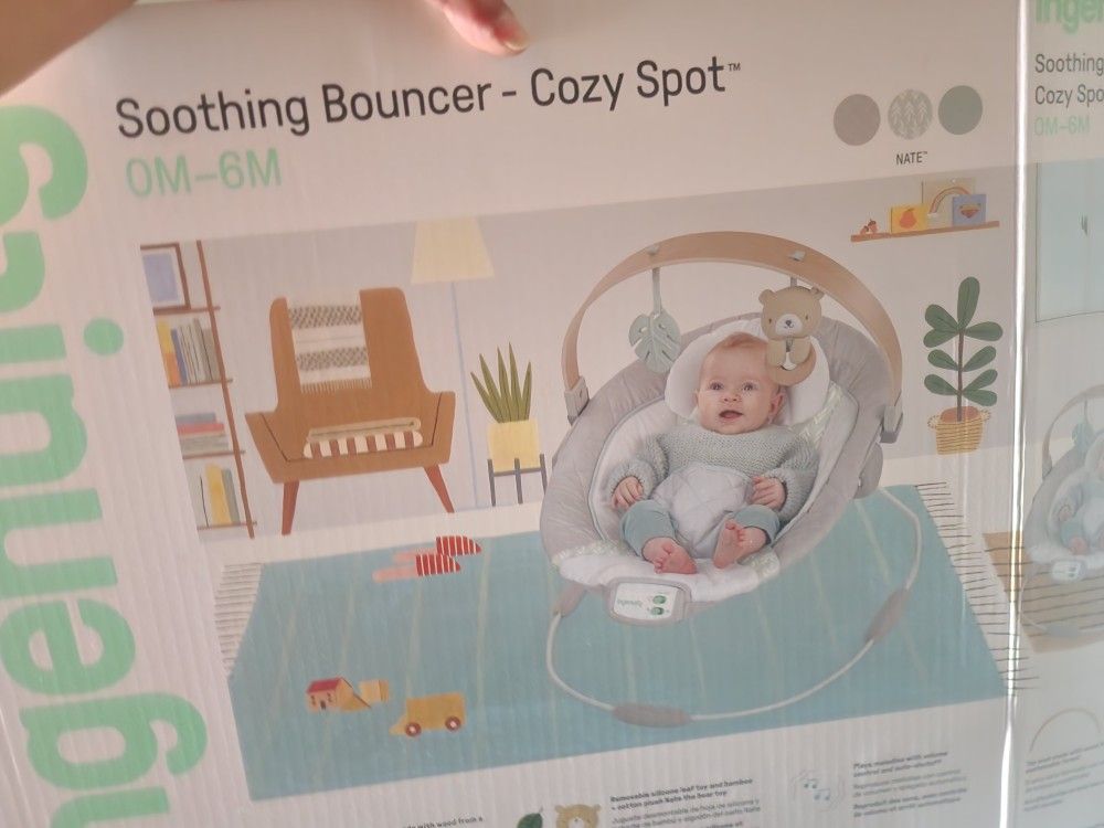 Baby Swing