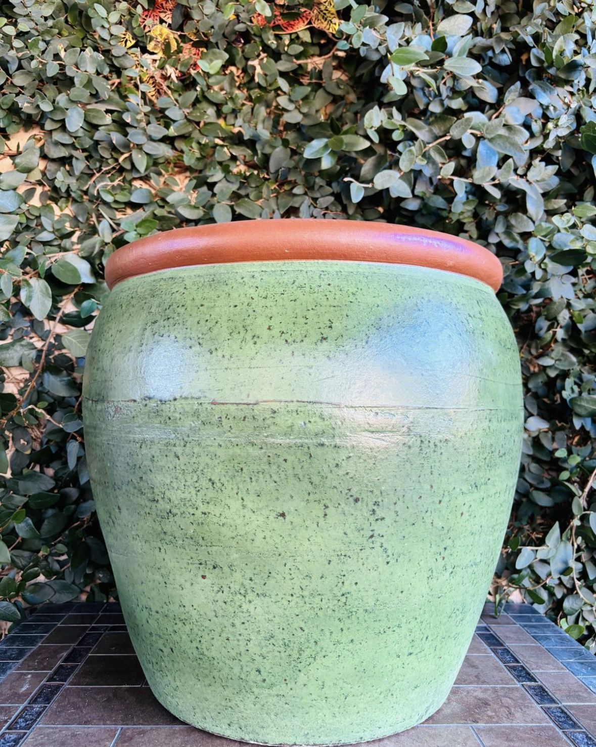 Large Oaxaca Pot Planter
