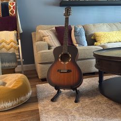 Acustic Guitar And Stand 