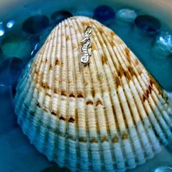 925 Sterling Silver Sea Horse Charm Pendant 