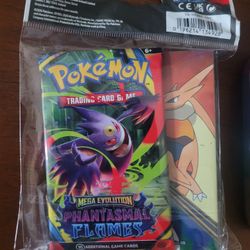 Pokemon Mini Portfolio With Phantasmal Flames Booster Pack