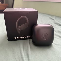 Beats Powerbeats Pro Wireless Earbuds(Black)