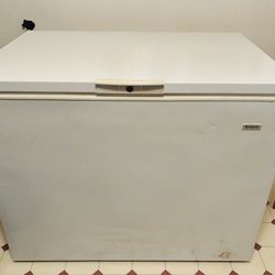 Chest Freezer 