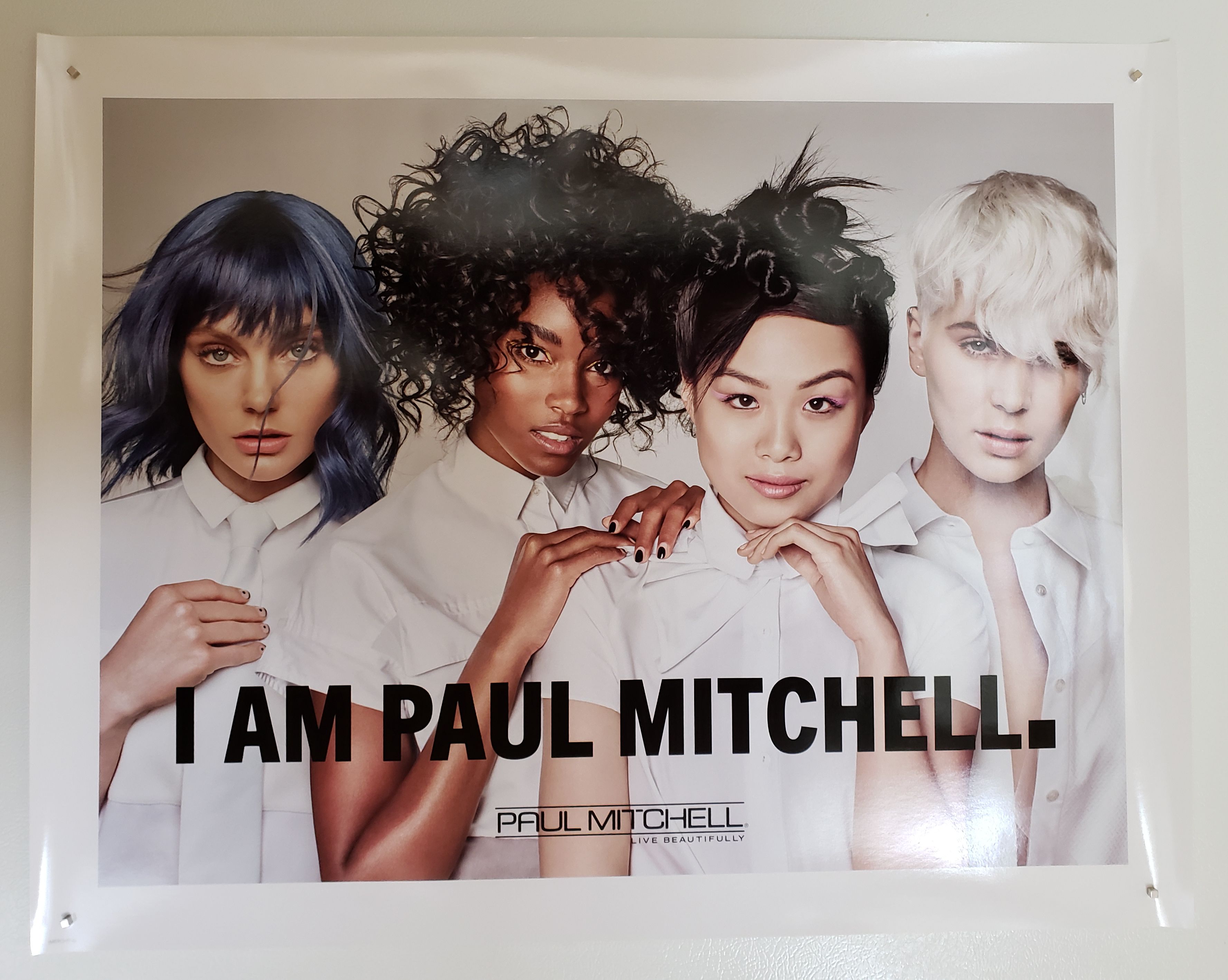 Paul Mitchell Hair Salon Posters - Set of 5 for Sale in Montgomery Village,  MD - OfferUp