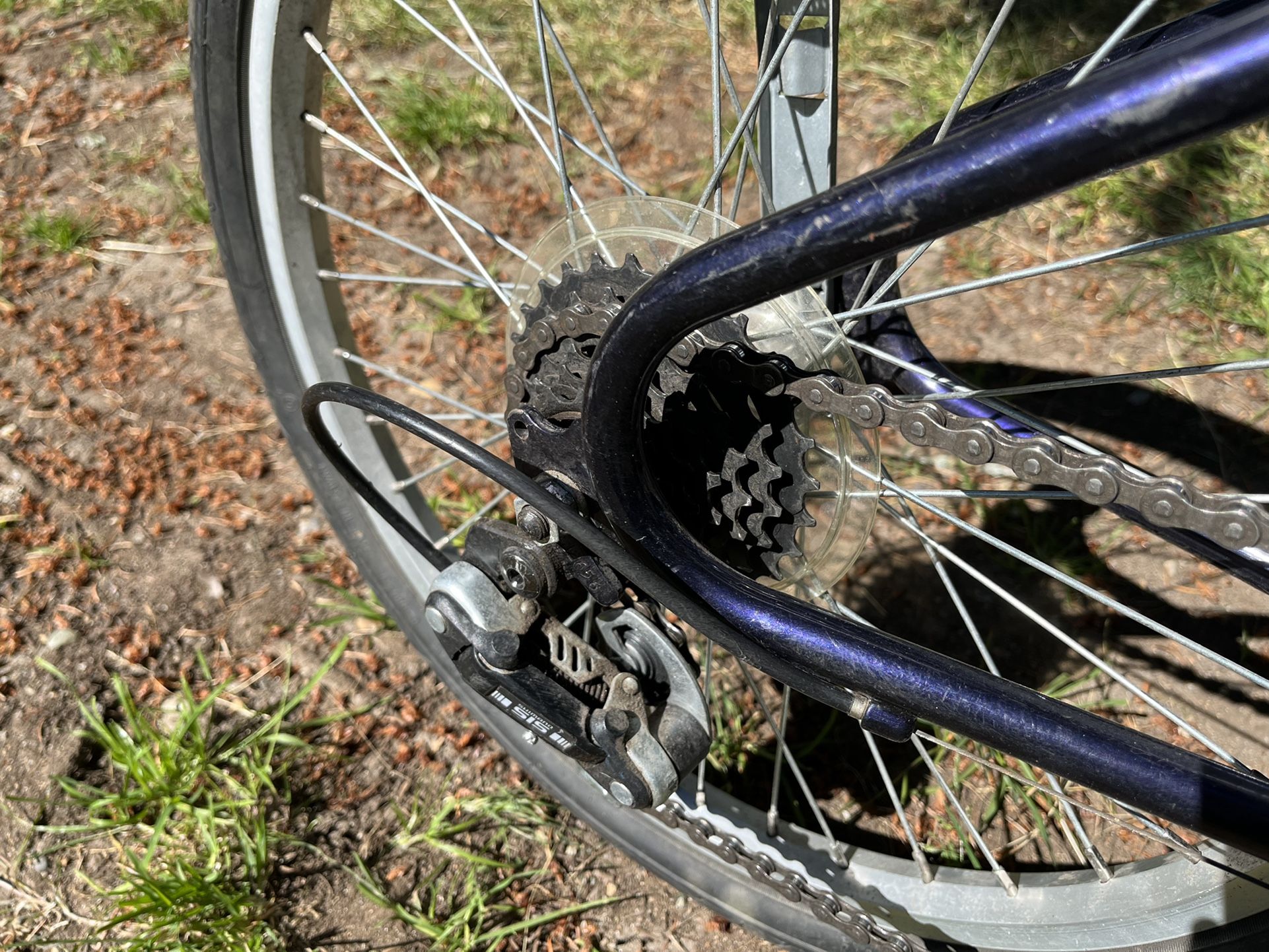 Burley Piccolo Tagalong Complete for Sale in Woodway, WA OfferUp