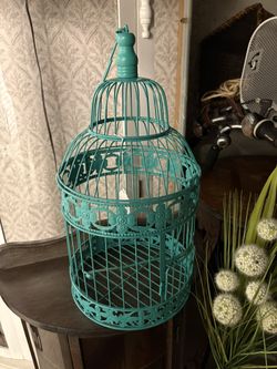 Teal Bird Cage