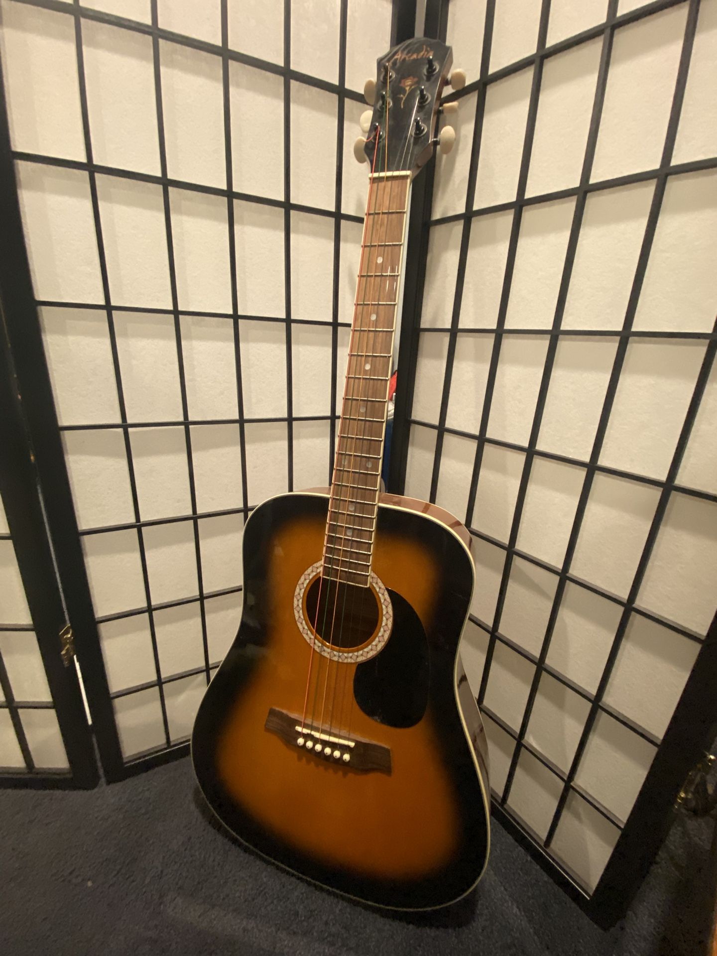 Guitar With Colored Strings Acoustic