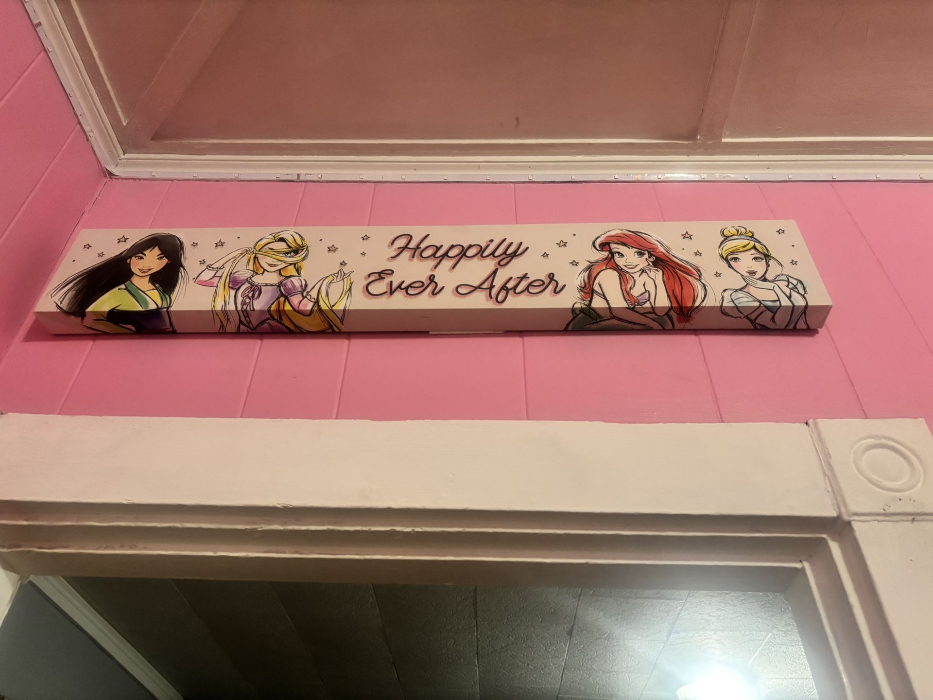 Disney Princess Canvas Bundle