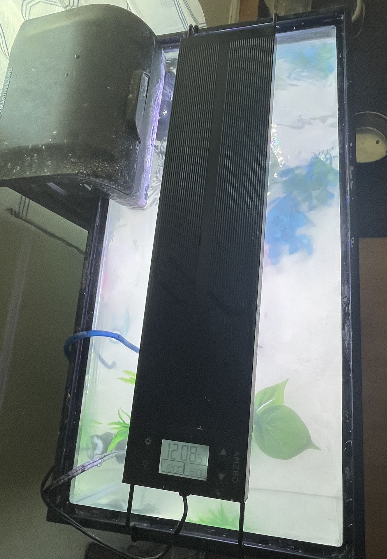 10 Gallon Complete Aquarium 