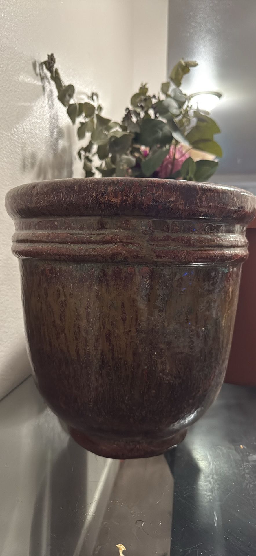 Plant 🪴 Pot
