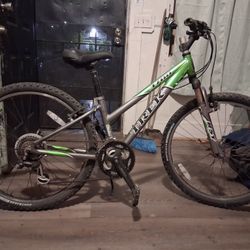 Trek  Mountain Bike 