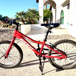 20” Giant Bike