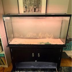 60-Gallon Saltwater Fishtank Setup