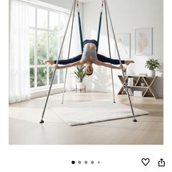 Aerial Rig With Yoga trapeze, Hammock, Straps, Etc.