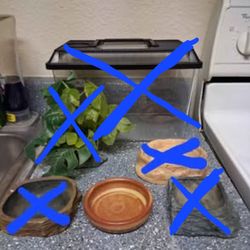 Reptile items $5 each rainbow/charleston cash only read description