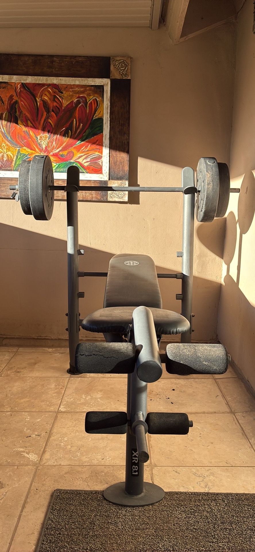 Weight Bench - Golds Gym Weights And Bars