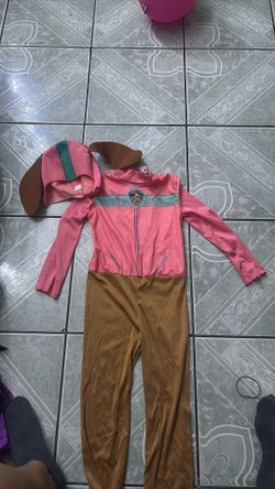 Paw Patrol Sky Costume