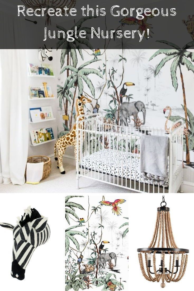 Jungle Theme Wallpaper 230cm X 260cm
