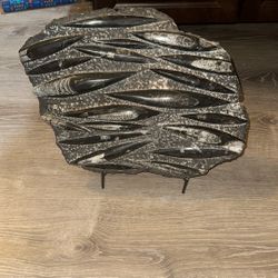 Orthoceras Fossil Plate