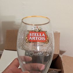 Stella Artois Chalice (22)