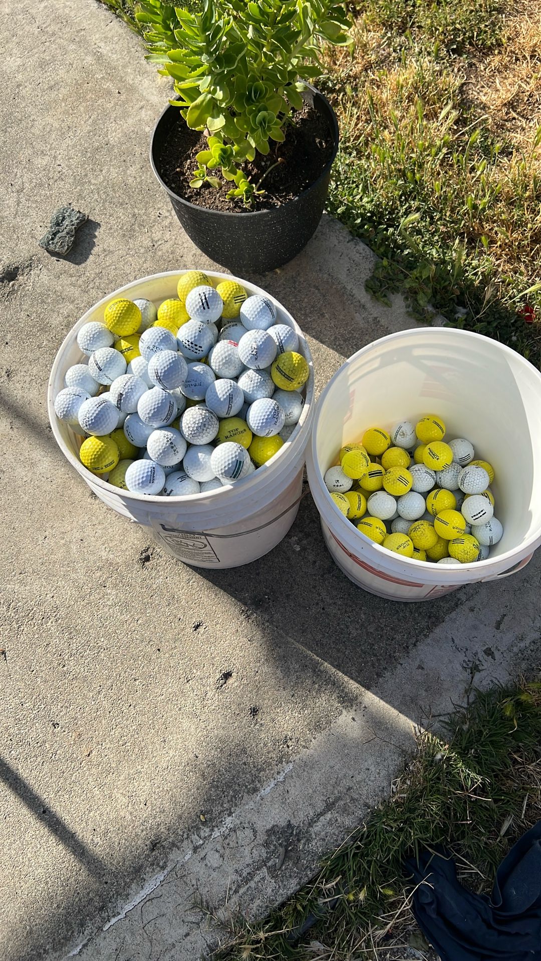 Golf Balls