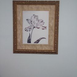 The Bombay company Picture