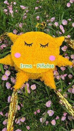 Piñata Picos..🎉