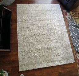 Area Rug-Gertmenian Karma "Riona" Area Rug (5'3" x 7') – Professionally Cleaned! ( just unwrapped it to take pictures)
