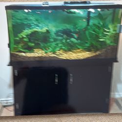Aquarium