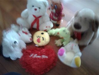 Lot of 10 stuffed animals.