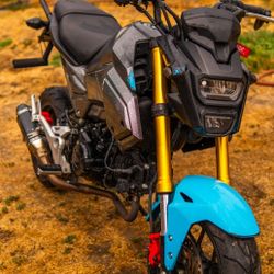 Honda Grom