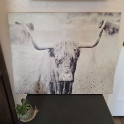Nice Steer/Cow Wall Art Portrait