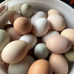 Pasture Raised Chicken Eggs