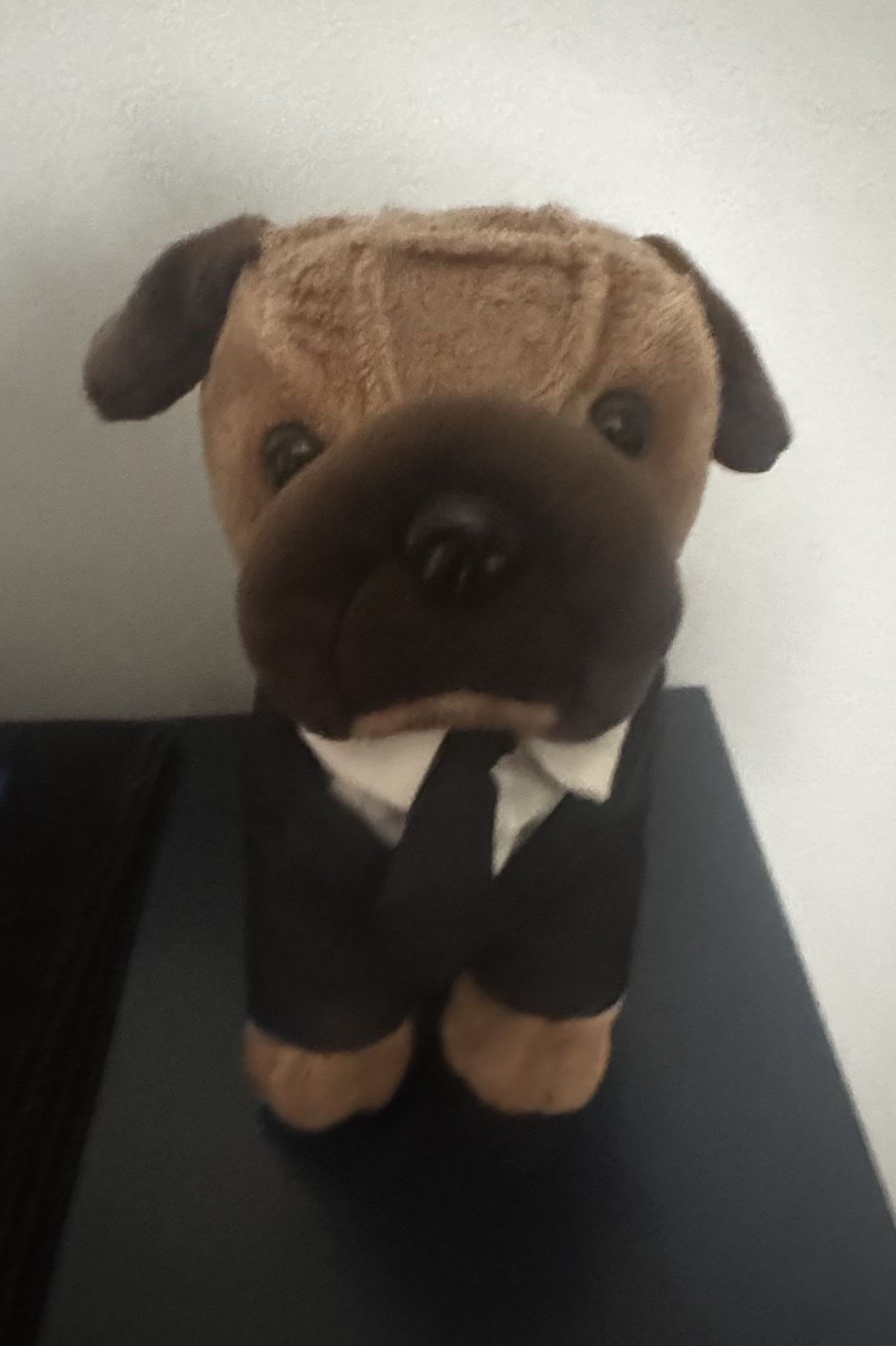 Extremely Soft Dog In Suit Plushie For Children