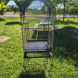 Bird Cage
