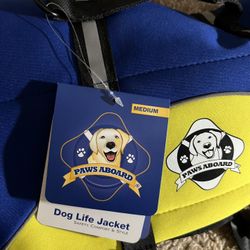 Dog Life Best