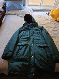 Hollister Down Winter Coat